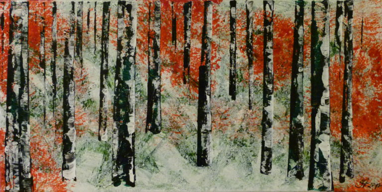 Birke 4
