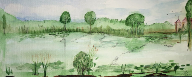 Teichlandschaft