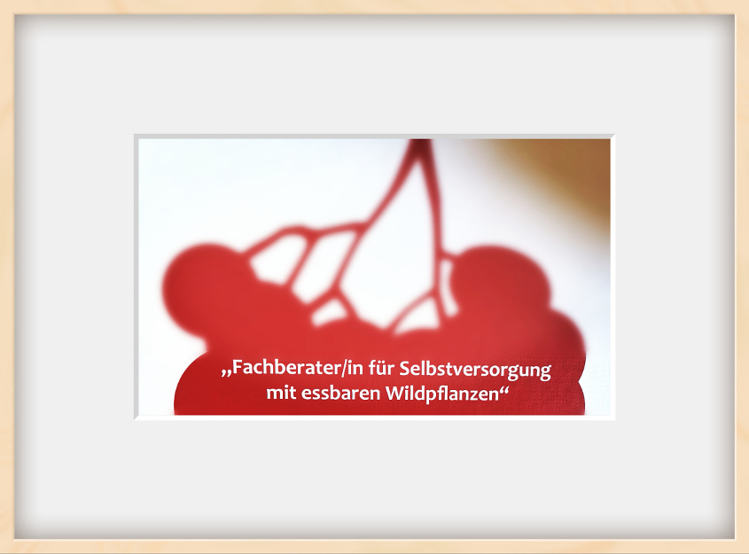 Fachberaterin