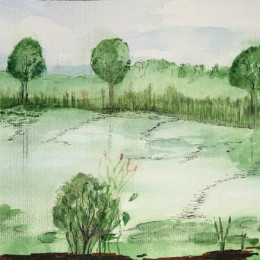 Teichlandschaft
